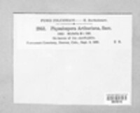 Image Associated With the Occurence